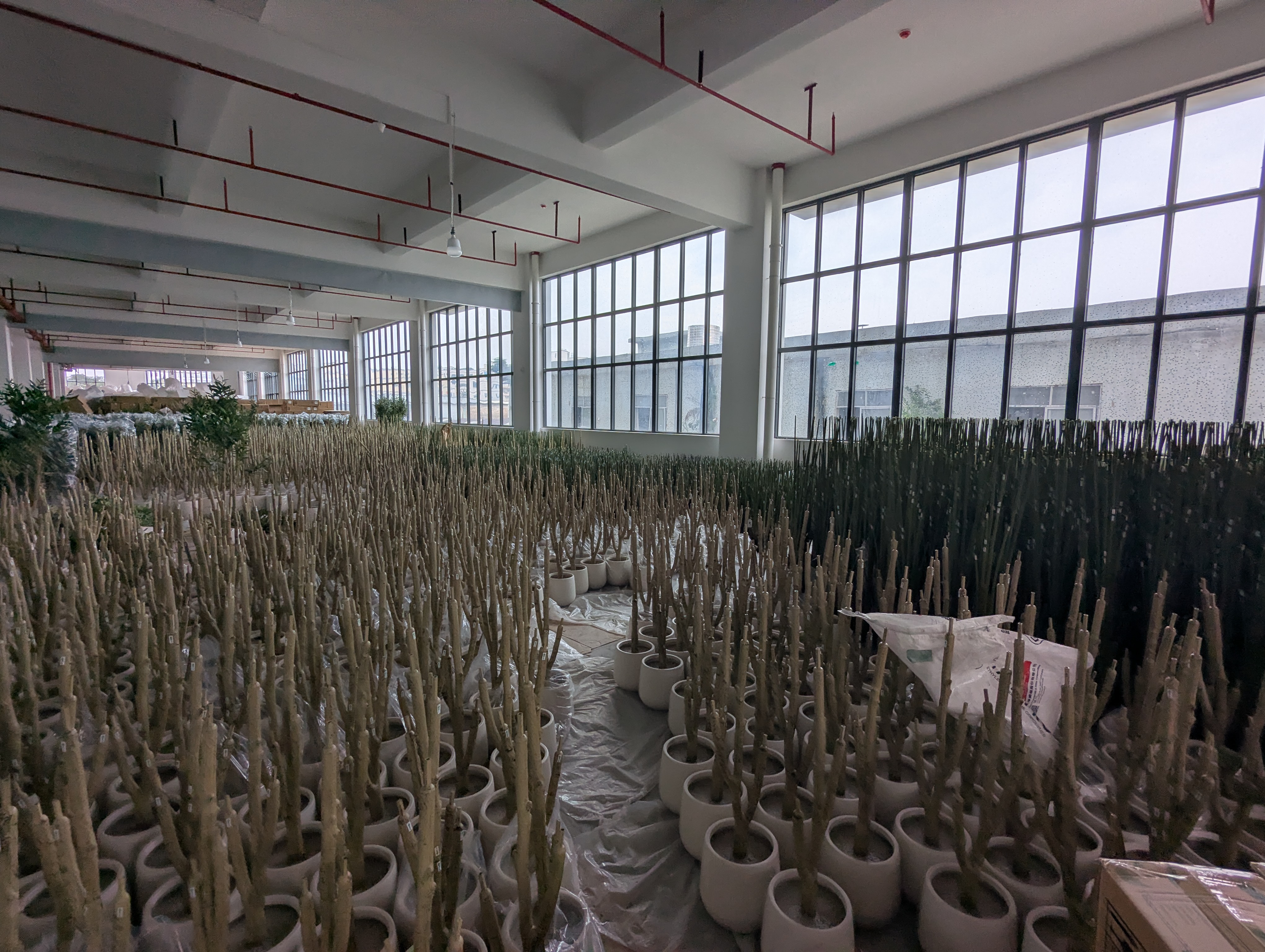 Production Diary #35 | Scale and Commitment: A Routine Walkthrough of Our Mass Order Staging Area