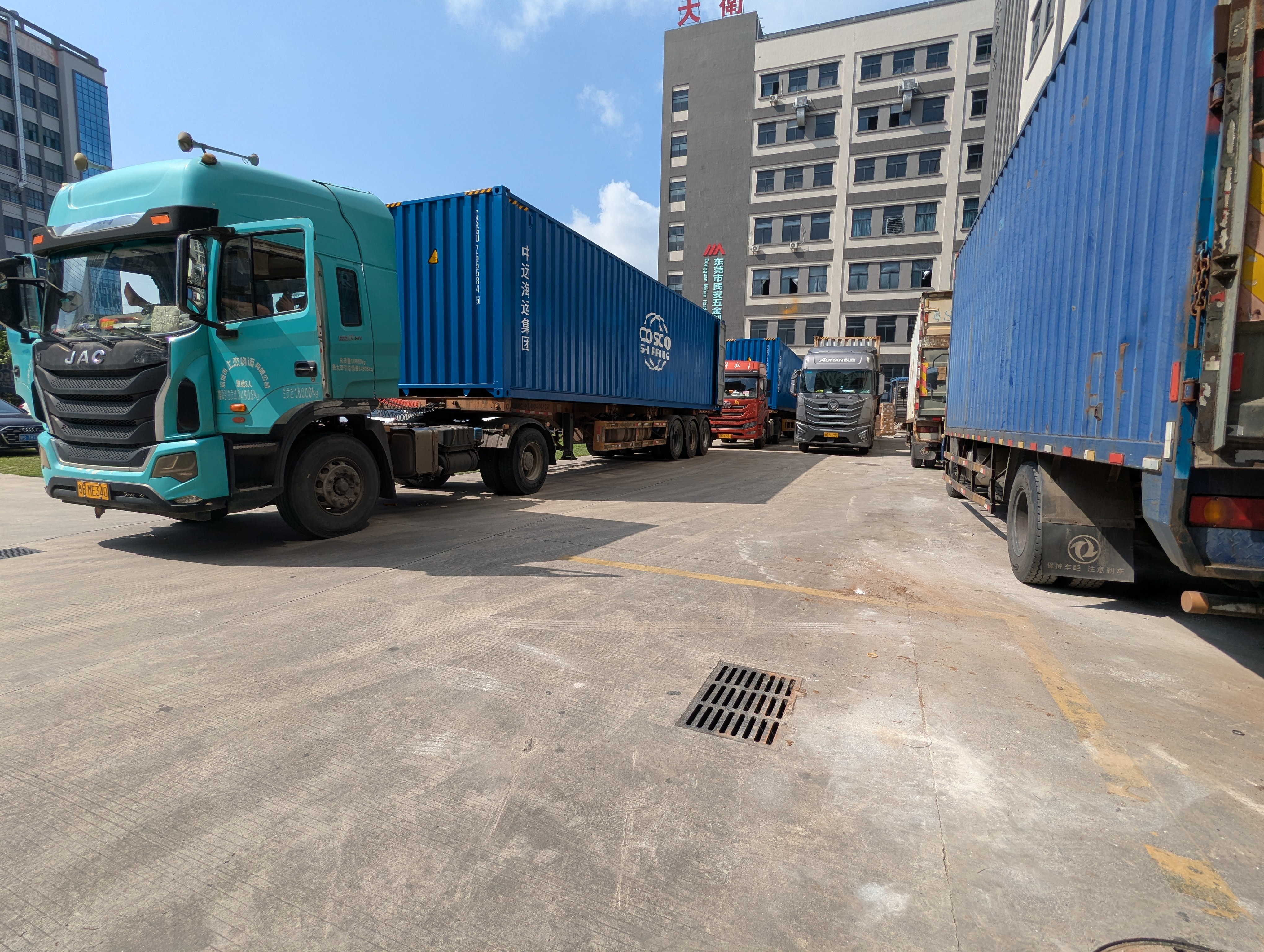 Production Diary #49 | Workshop Journal: Managing Dual-Facility Operations and Express Logistics for Our Newest Shipments of Wholesale Faux Bionic Plants