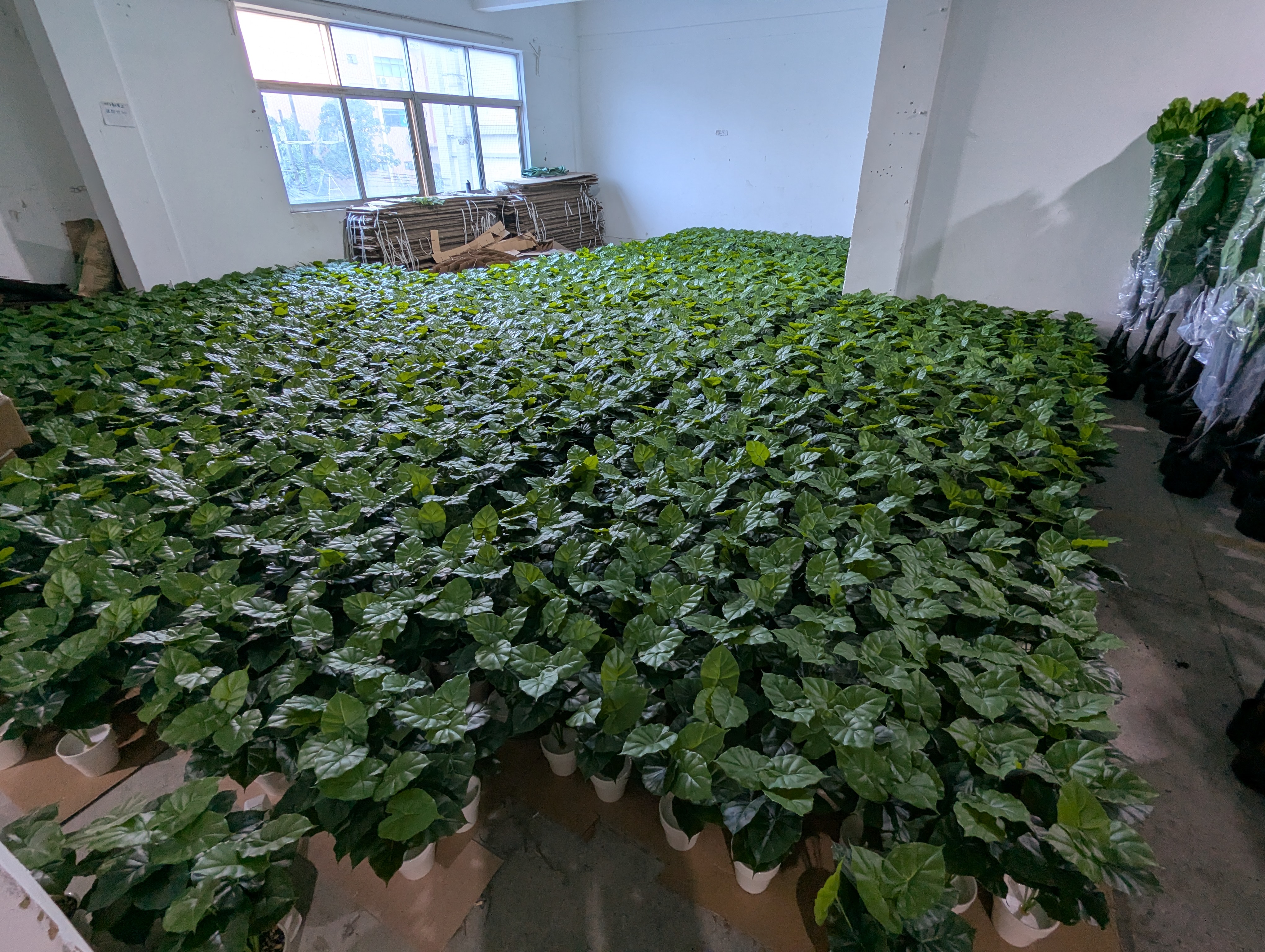 Production Diary #51 | Final Detailing and Quality Checks for Our Nearing-Completion Batch of Wholesale Faux Miniature Pots