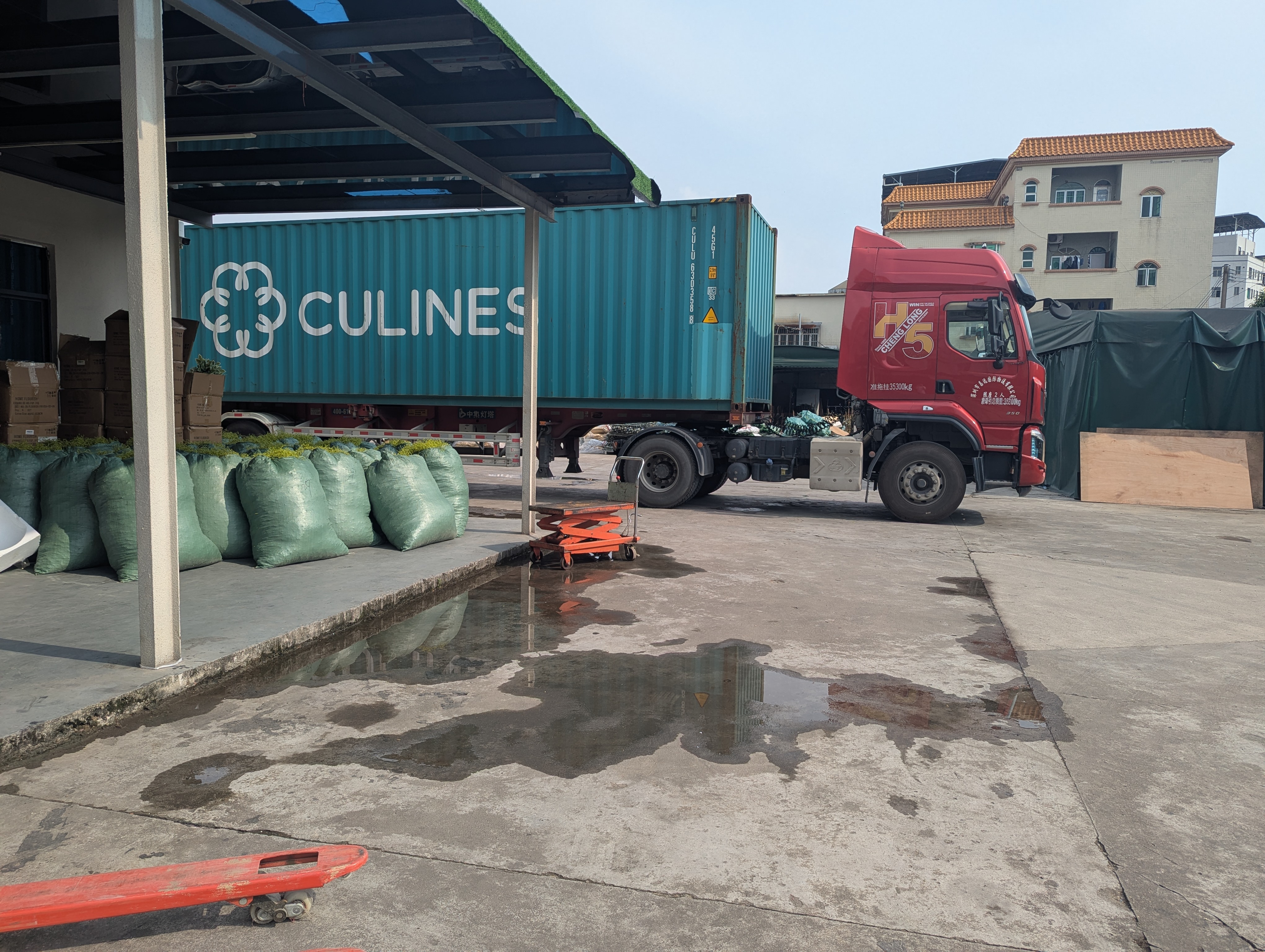 Production Diary #56 | Factory Container Loading and Direct Ocean Port Dispatch for Wholesale Artificial Plants