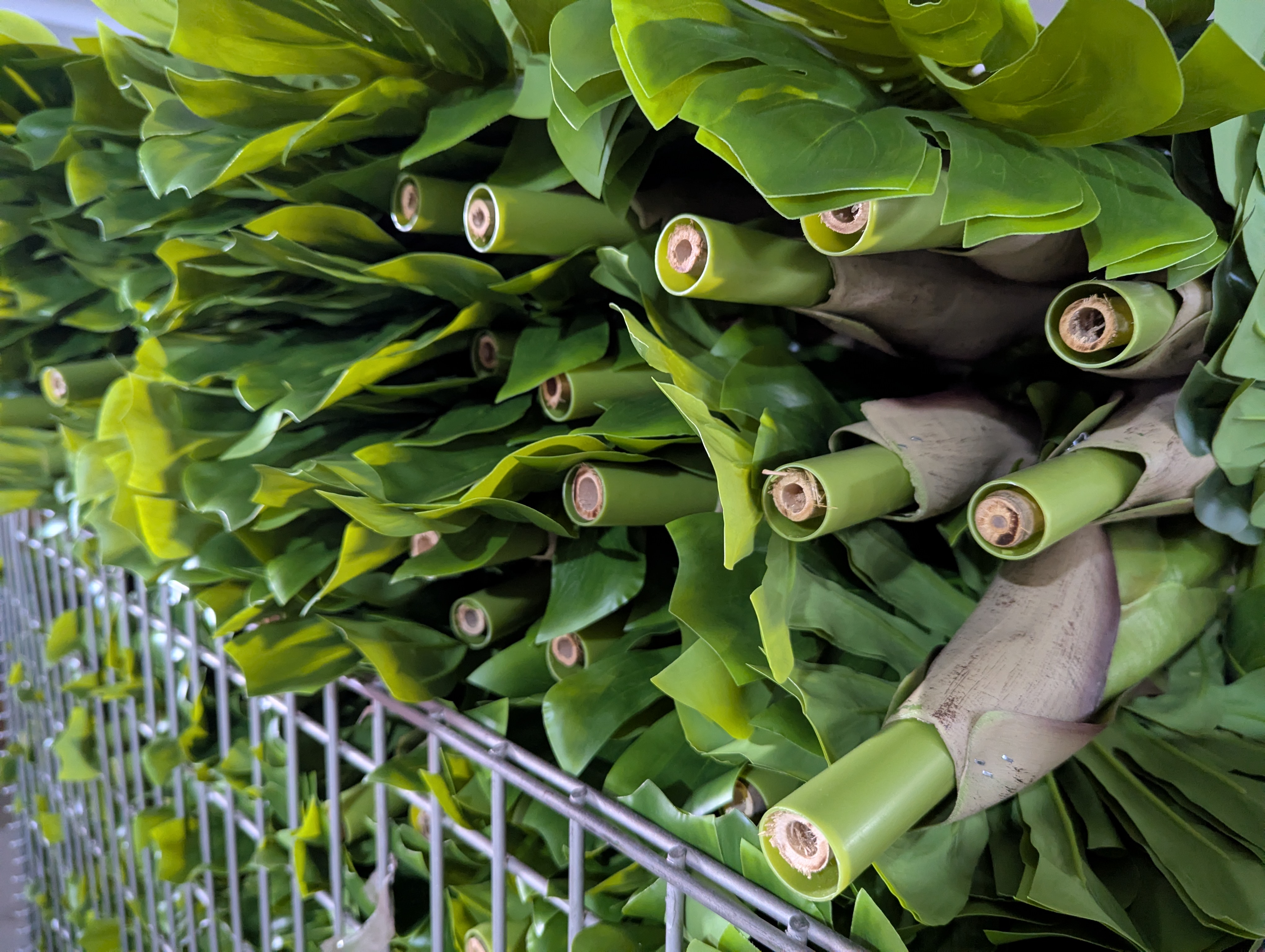 Production Diary #59 | Bamboo Reinforced Stem Construction and Monstera Pot Settling Routine