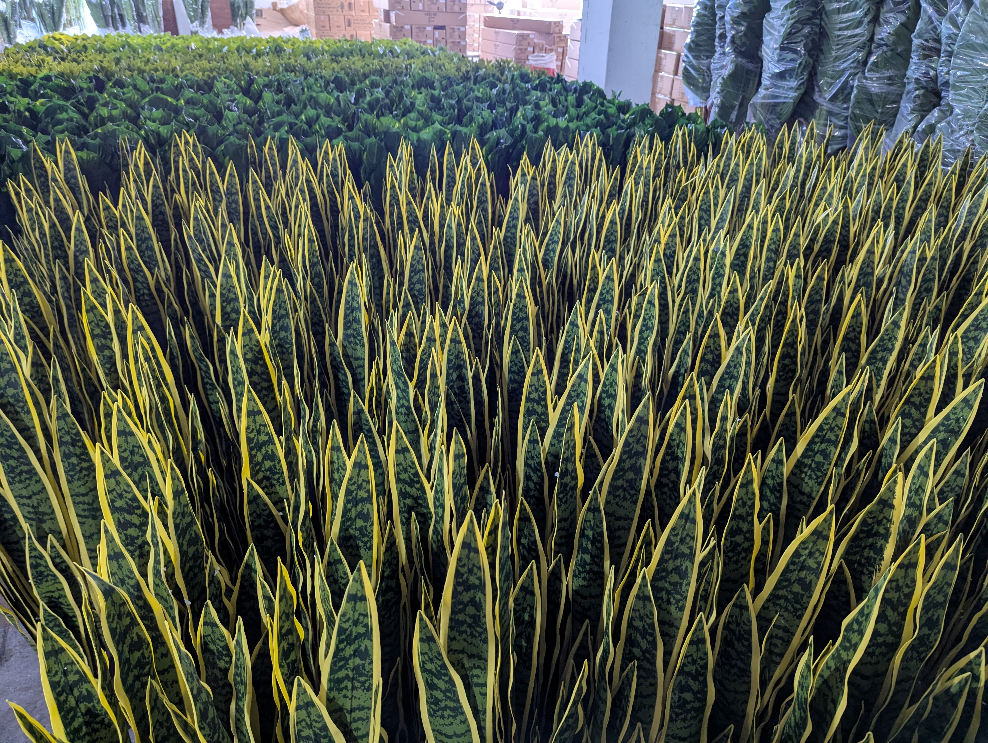 Production Diary #60 | Small Artificial Sansevieria Trial Order and Final Quality Inspection Routine
